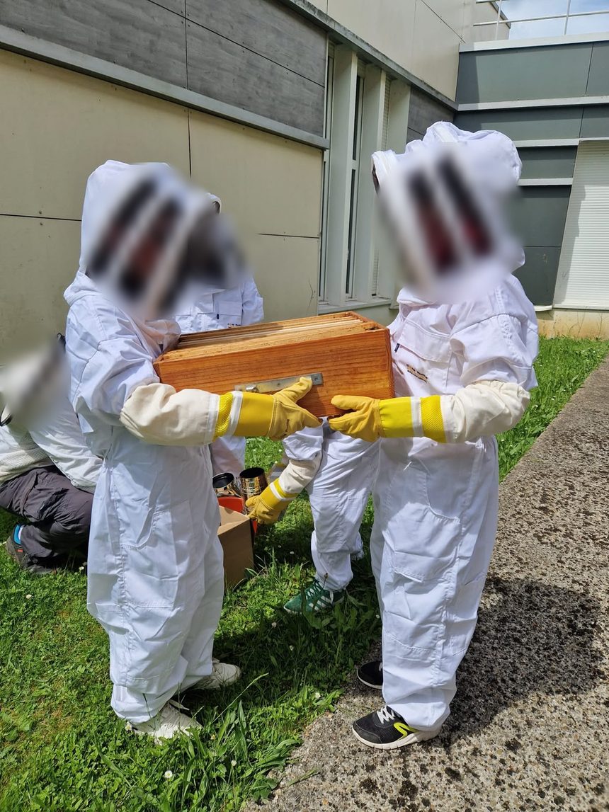 Deux élèves en tenue d'apiculteur portant une hausse de la ruche